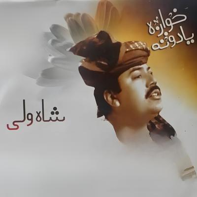 Ustad Shah Wali's cover