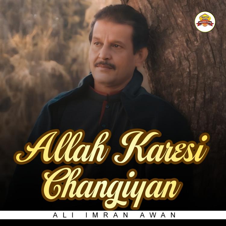 Ali Imran Awan's avatar image