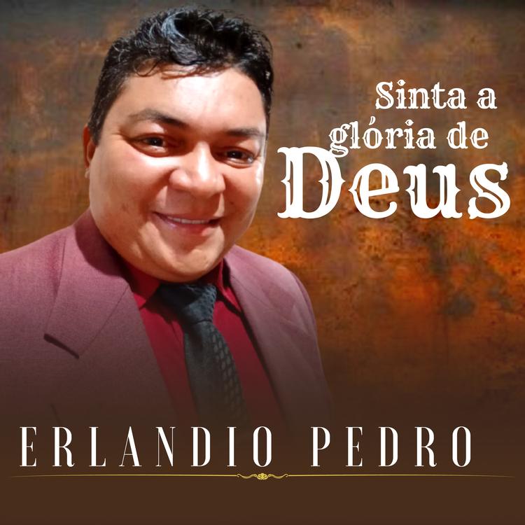 Erlandio Pedro's avatar image