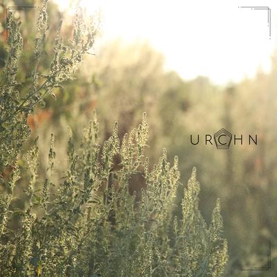 The Seeds By URCHN, Birdhouse's cover