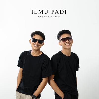Ilmu Padi (Acoustic Version) By Didik Budi, Sadewok's cover