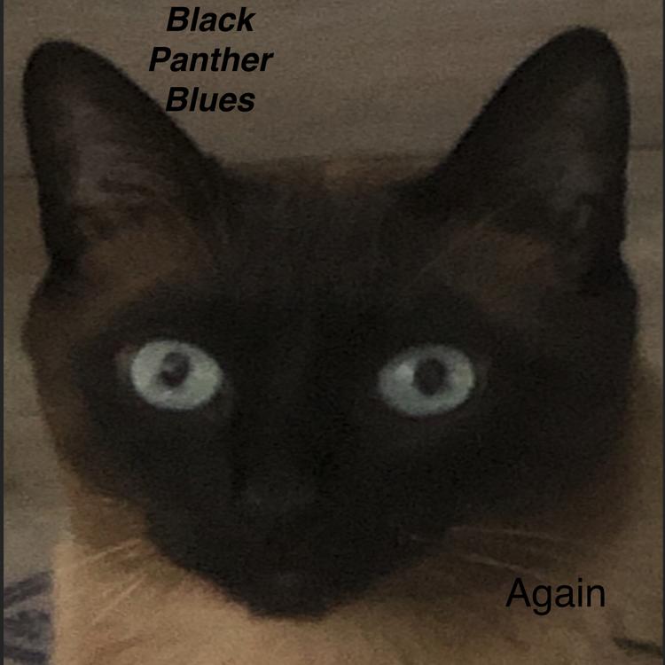 Black Panther Blues's avatar image