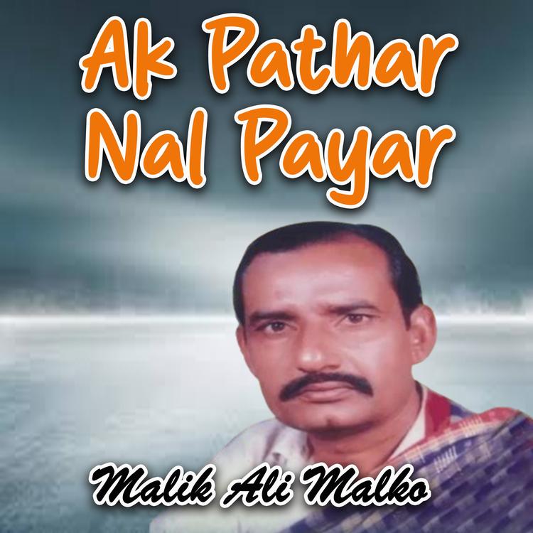 Malik Ali Malko's avatar image