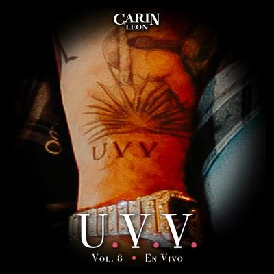 Voy a Estar Bien (En Vivo) By Carin Leon's cover