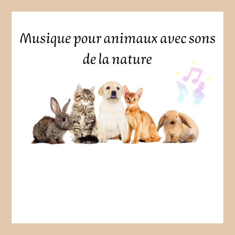 BS Sons apaisants pour les animaux's avatar image