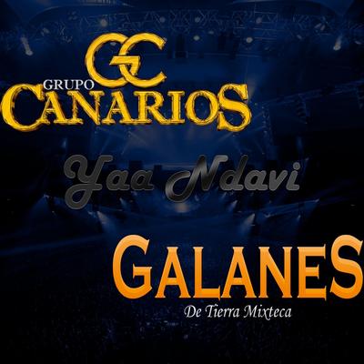 Yaa Ndavi (feat. Galanes de Tierra Mixteca)'s cover