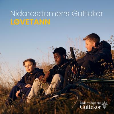 Nidarosdomens Guttekor's cover