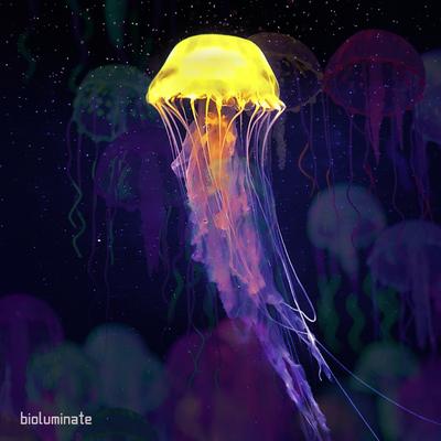 Bioluminate By Momentology, #13's cover