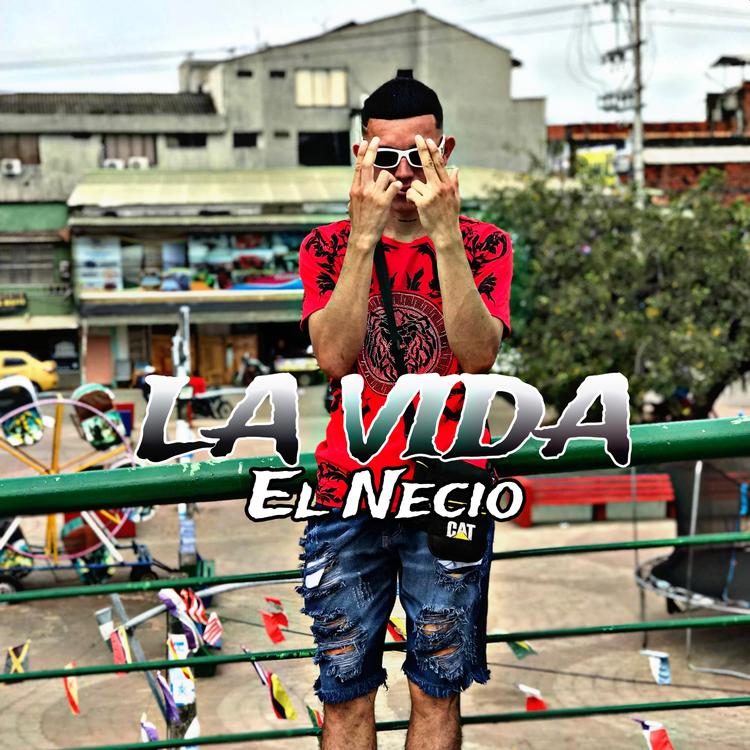 El Necio's avatar image