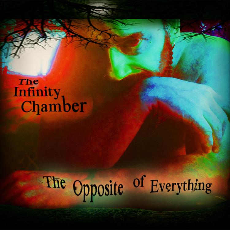 The Infinity Chamber's avatar image