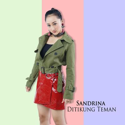 Ditikung Teman By Sandrina's cover