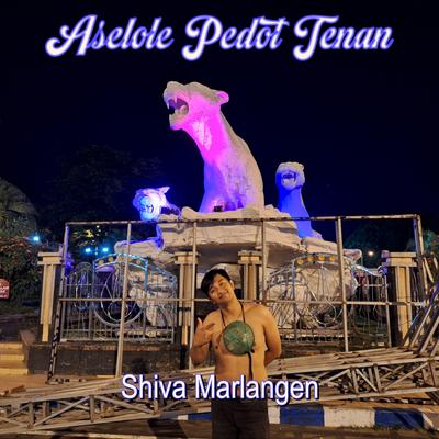 Aselole Pedot Tenan (Koplo)'s cover