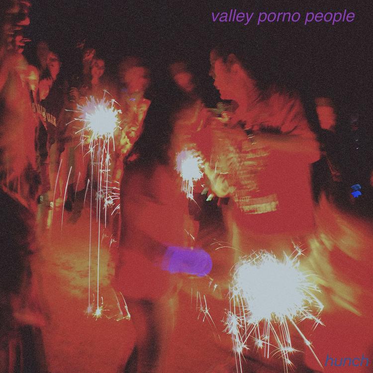 Valley Porno People's avatar image