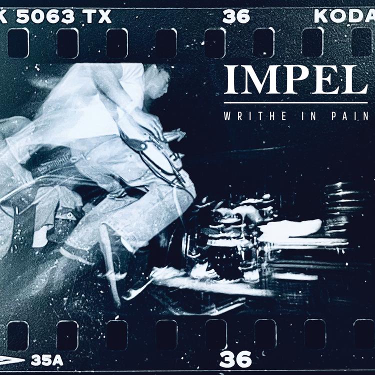 Impel's avatar image
