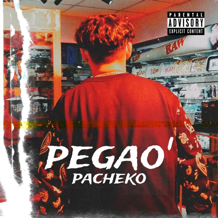 Pacheko's avatar image