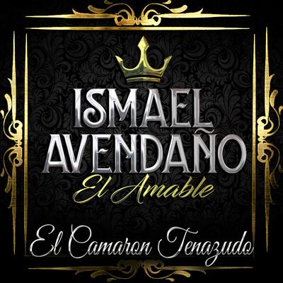 Ismael Avendaño El Amable's cover