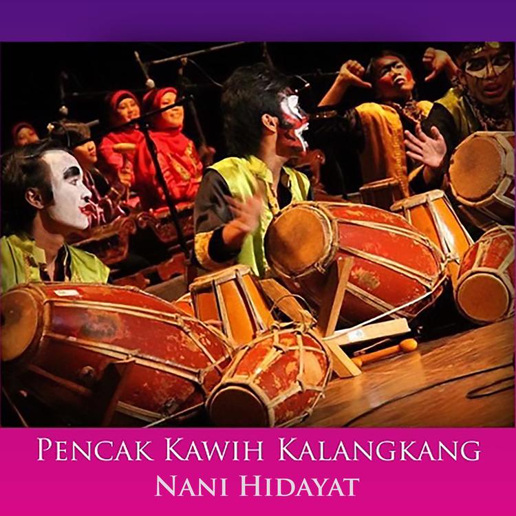 Nani Hidayat's avatar image