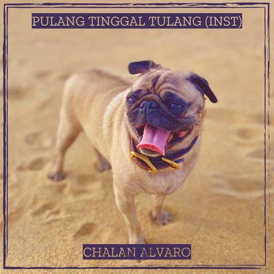 Pulang Tinggal Tulang (Inst)'s cover