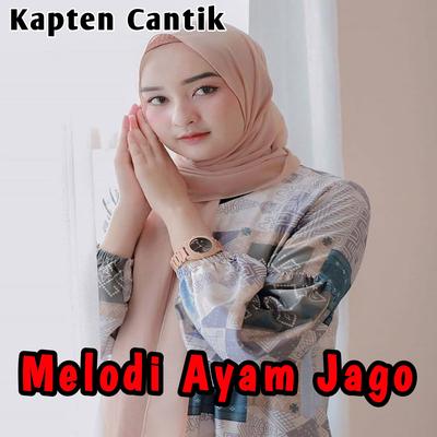 Melodi Ayam Jago By Kapten Cantik's cover