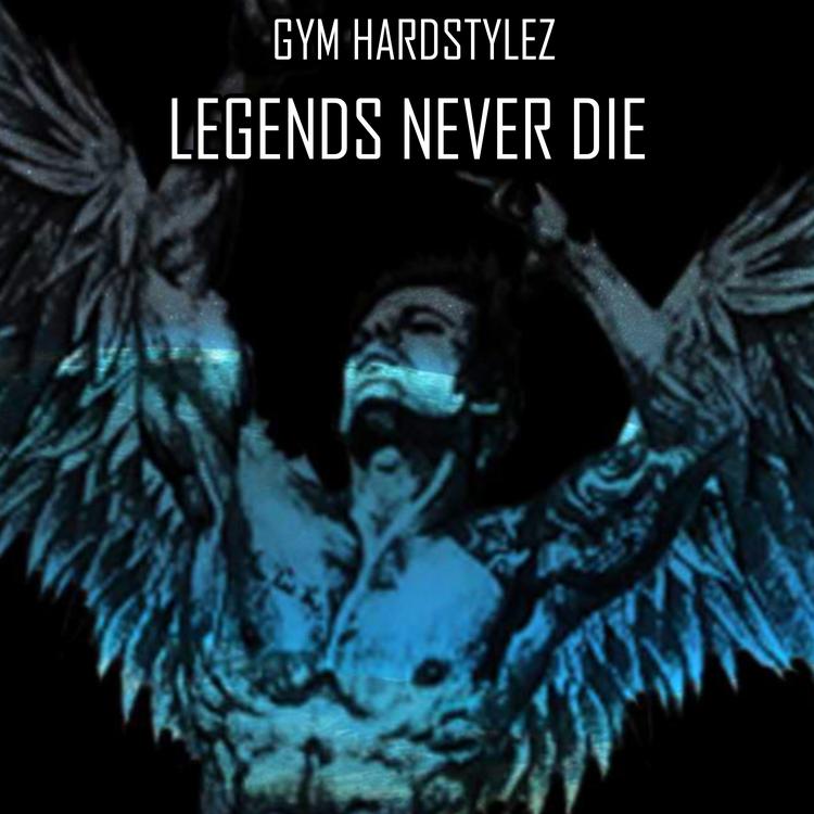 GYM HARDSTYLEZ's avatar image