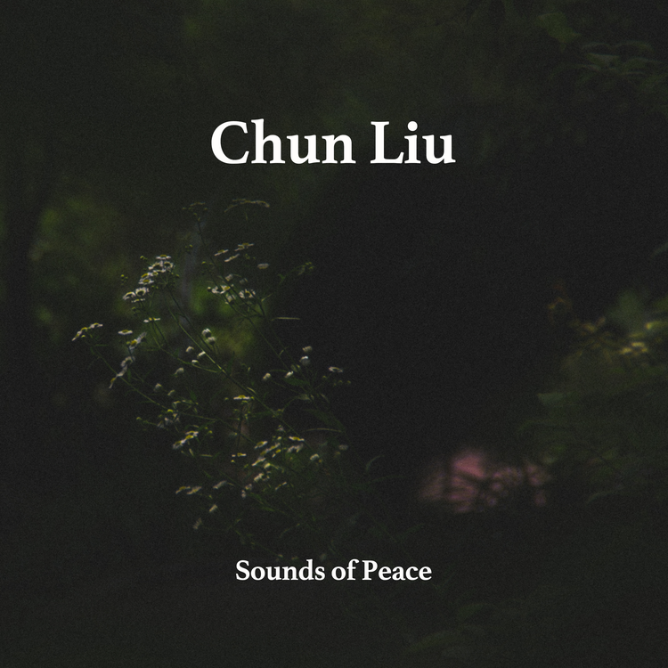 Chun Liu's avatar image