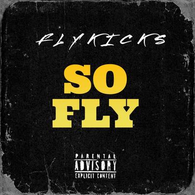 SO FLY's cover