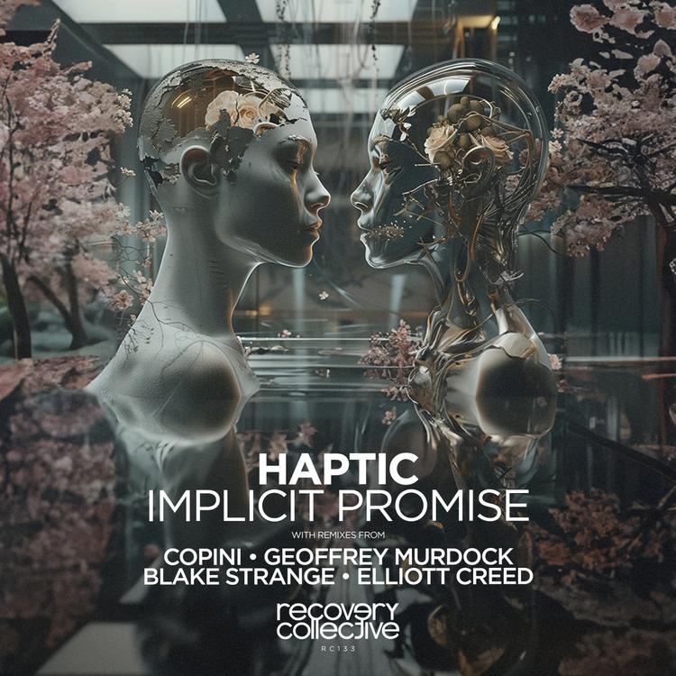 Haptic's avatar image