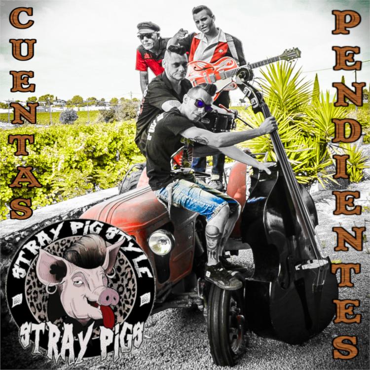 Stray pigs's avatar image