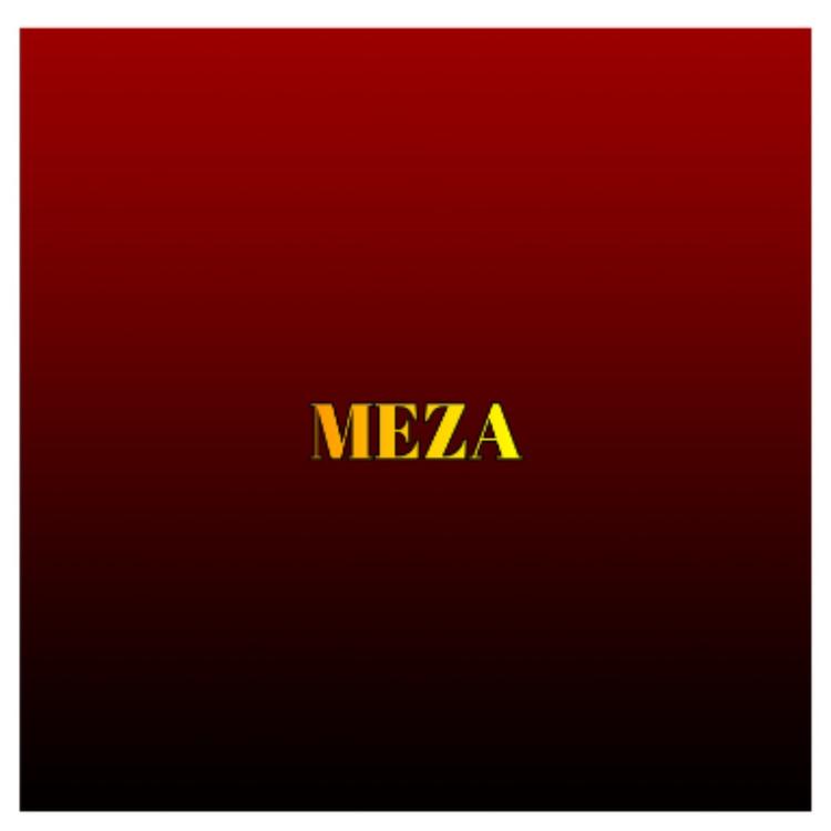 MEZA's avatar image