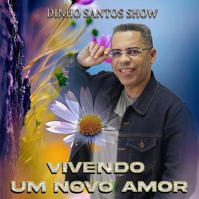 Vivendo Um Novo Amor's cover