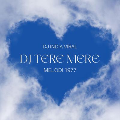 DJ TERE MERE's cover
