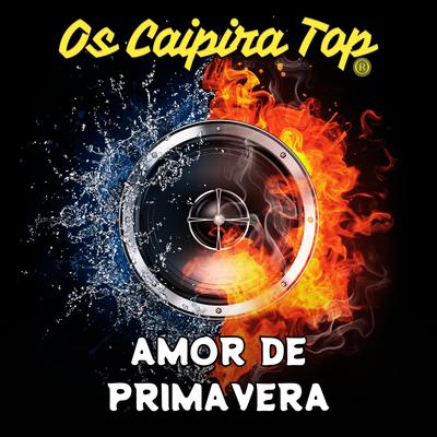 Amor de Primavera (Remix)'s cover