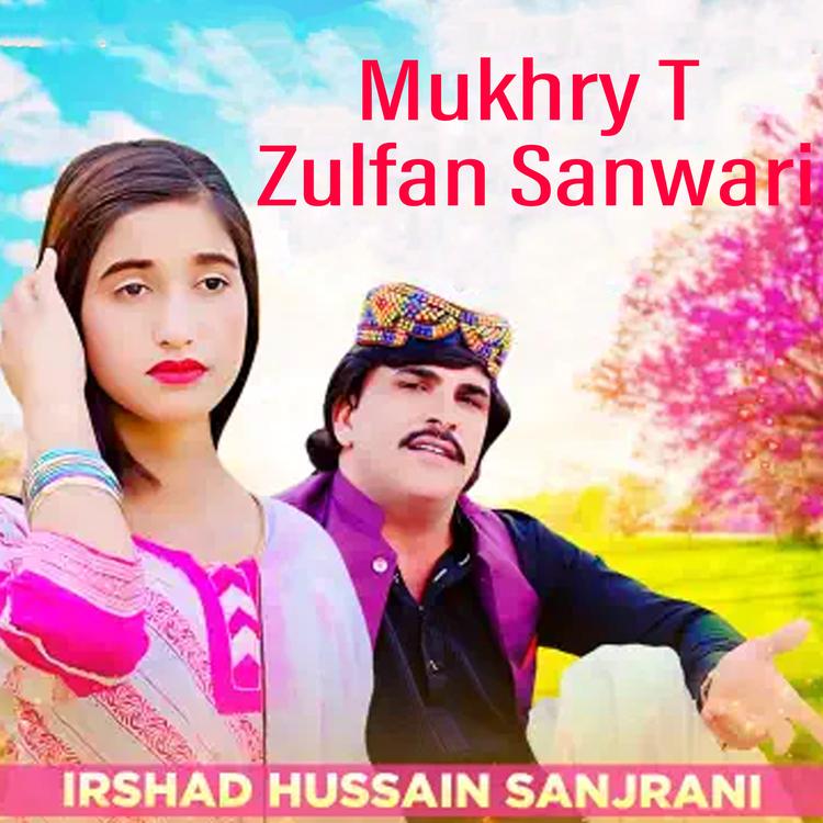 Irshad Hussain Sanjrani's avatar image