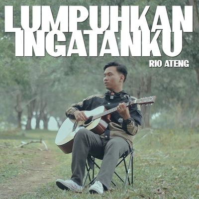 Lumpuhkan Ingatanku's cover