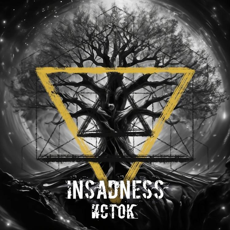 INSADNESS's avatar image