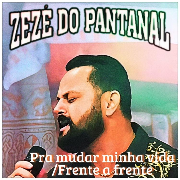 zezé do pantanal's avatar image