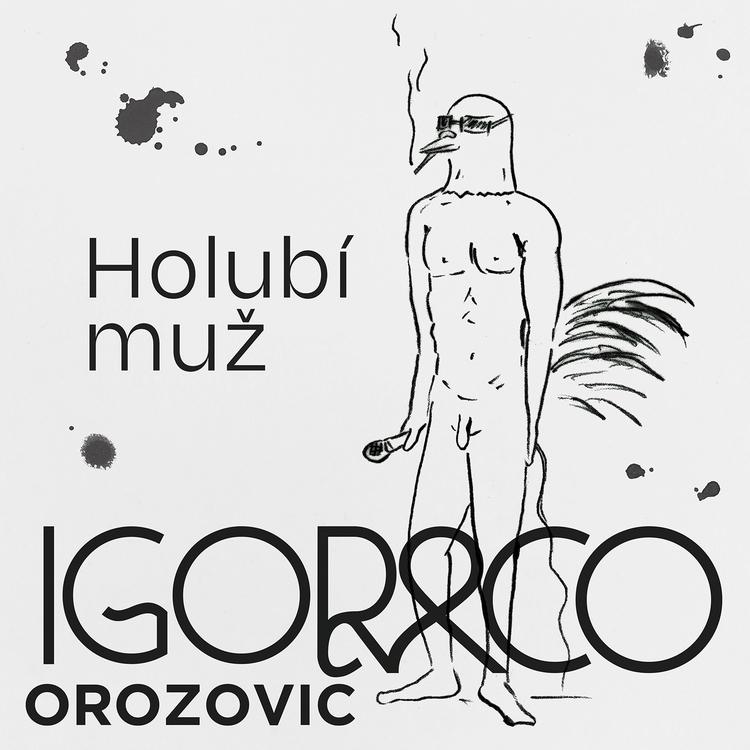 Igor Orozovič's avatar image