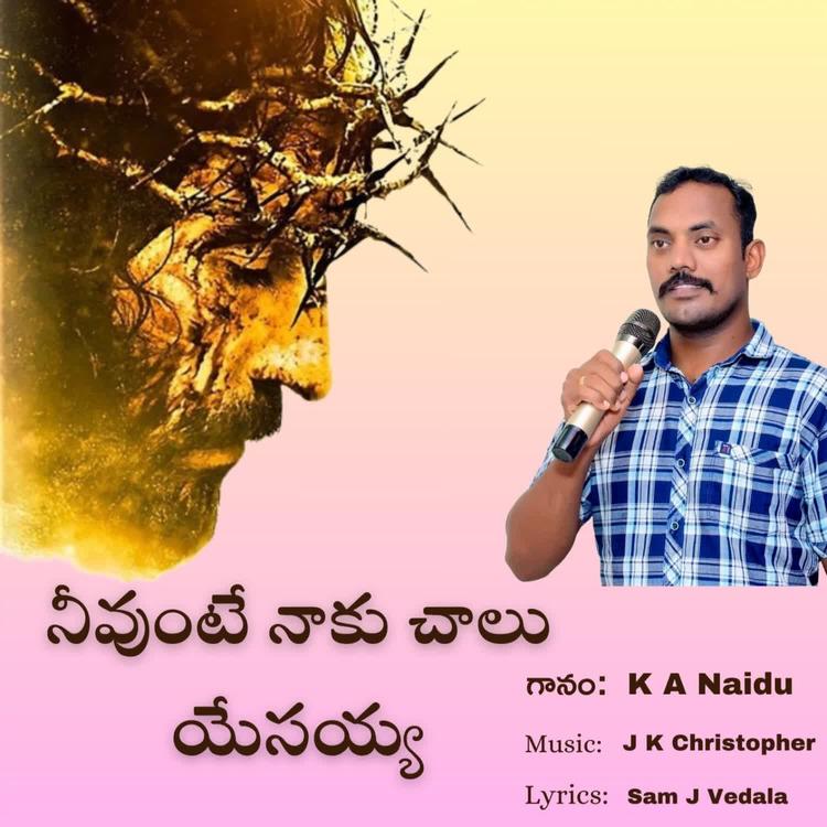 KA Naidu's avatar image