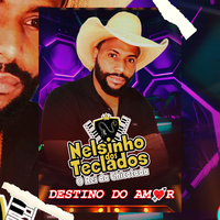 Nelsinho dos Teclados's avatar cover