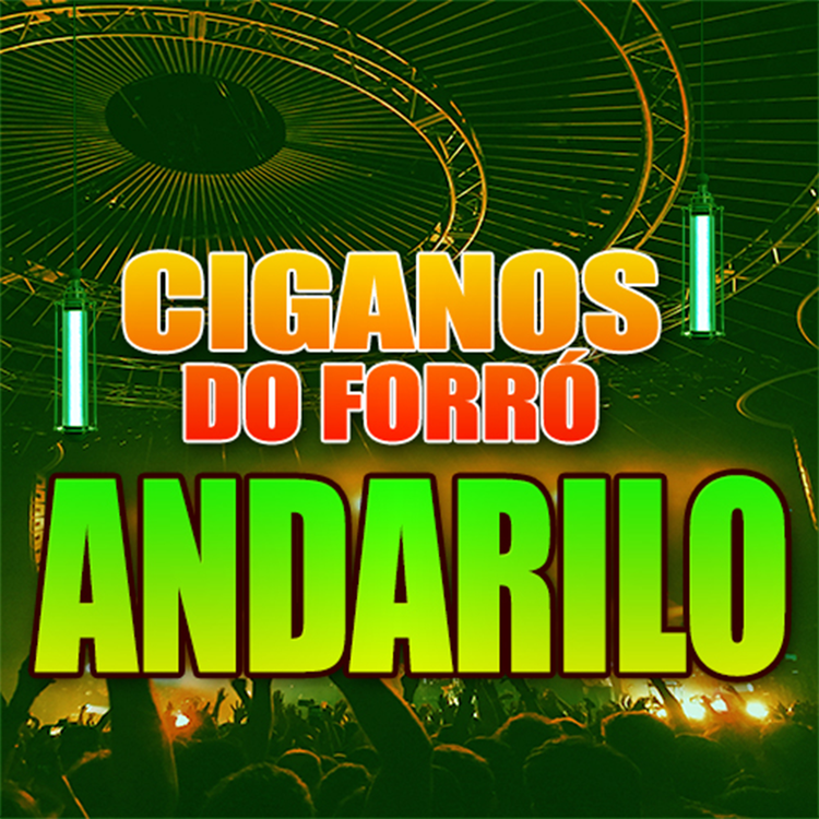 CIGANOS DO FORRÓ's avatar image