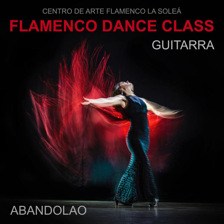 Centro Flamenco La Soleá's avatar image