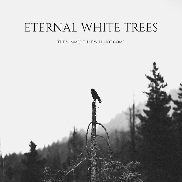 Eternal White Trees's avatar image