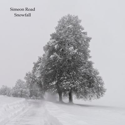 Snowfall By Simeon Road's cover