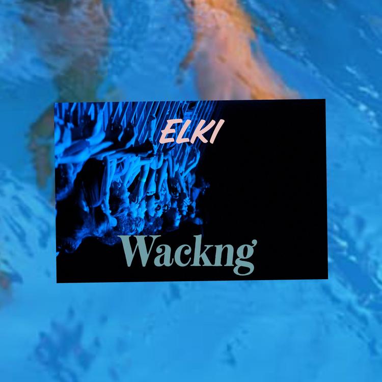 Elki's avatar image