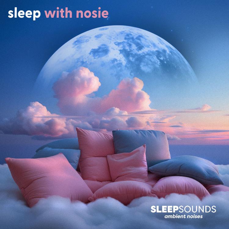 Sleep Sounds Ambient Noises's avatar image