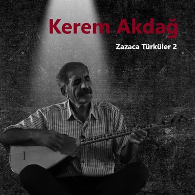 Zazaca Türküler 2's cover