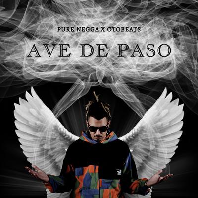 Ave de Paso's cover