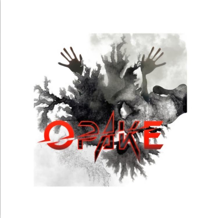 OPAKE's avatar image