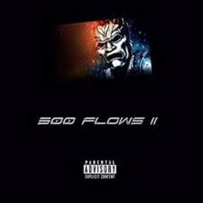 300 Flows II's cover