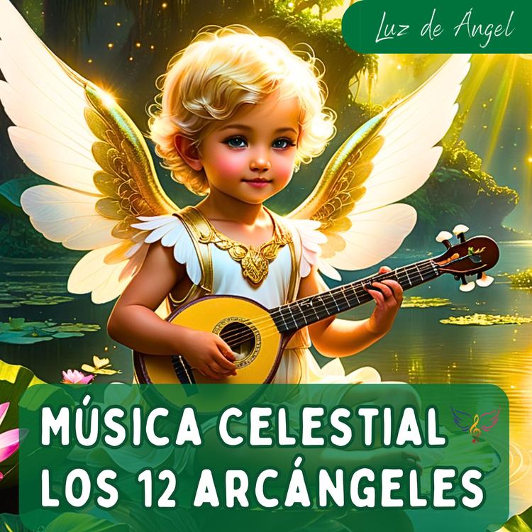 Luz de Ángel's avatar image